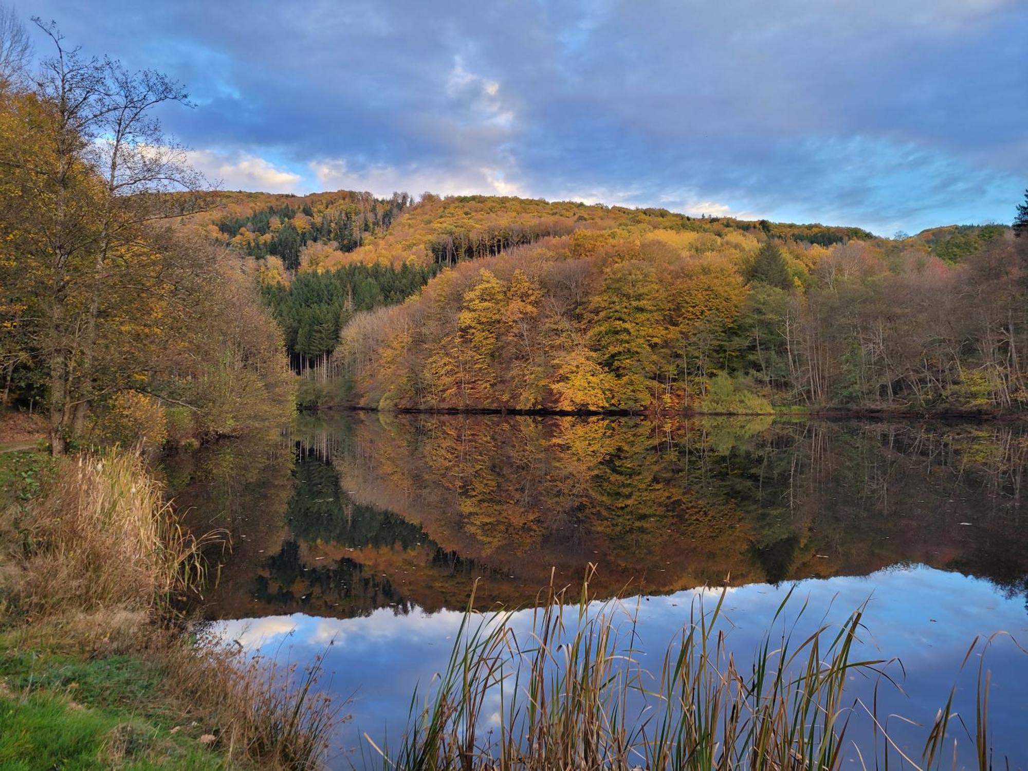 Le Lac Des Moines Condat  Eksteriør bilde