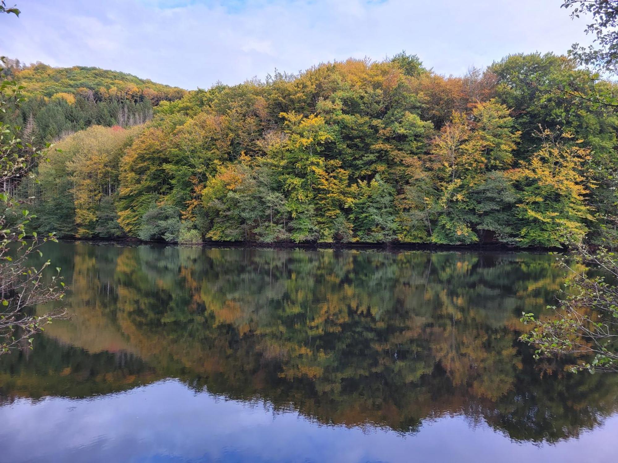 Le Lac Des Moines Condat  Eksteriør bilde