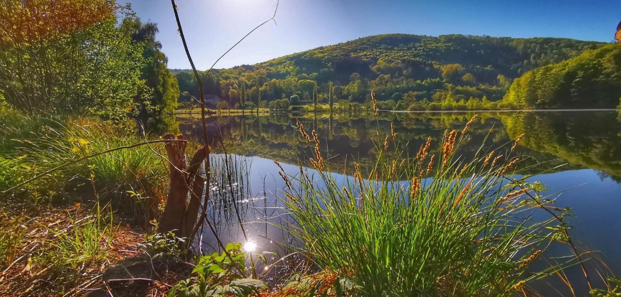 Le Lac Des Moines Condat  Eksteriør bilde